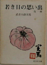 若き日の思い出　他一編