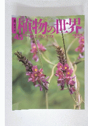 植物の世界