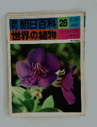 朝日百科　28　世界の植物　マツヨイグサ ノボタン　5/30