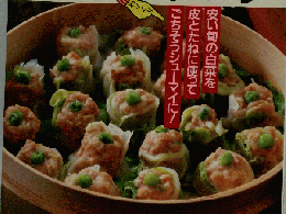 ESSE NO.5 BOOK ISERIES 節約のおかず