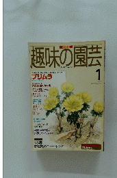 NHK趣味の園芸　1996年1月号