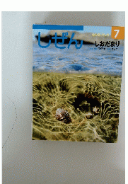 しぜん　しおだまり　7