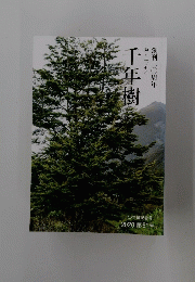 千年樹