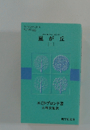 嵐が丘 　上