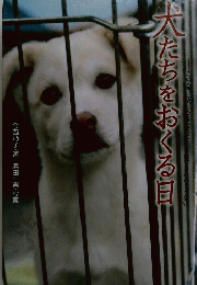 犬たちをおくる目
