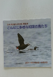 知床博物館第32回特別展図録　こんなに多様な知床の鳥たち