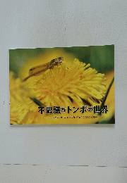 不思議なトンボの世界