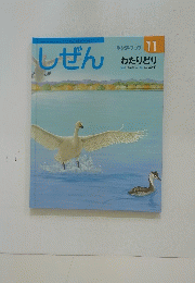 しぜん　11　わたりどり