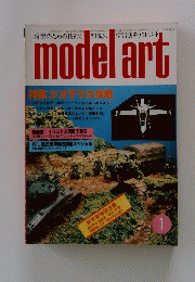 model　art 1