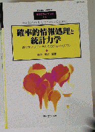 確率的情報処理と統計力学 -様々なアプローチとそのチュートリアル