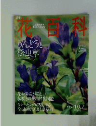 花白科　2004年10月7日号　No.31　