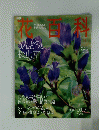 花白科　2004年10月7日号　No.31