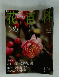 花百科　45　2005年1月20日号