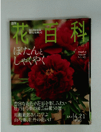 花百科　58