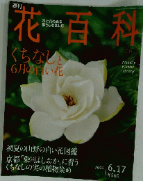 花百科　16