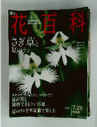 花百科　22