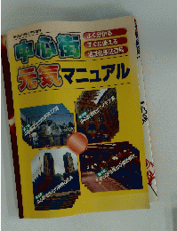 元気マニュアル