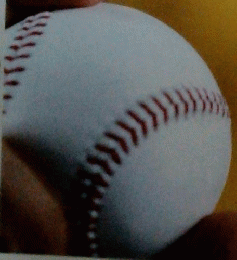 |SportsGraphicサンバー/2560Number