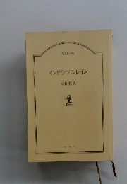 インビジブルレイン