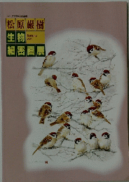 生物細密画展