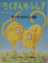 「たくさんのふしぎ/ライオンタマリンの森」鬼丸真人 松林明 文/田村直巳 絵/１９９８年２月号「第１５５号」/月刊/福音館書店