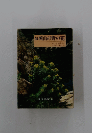 続岡山の野の花