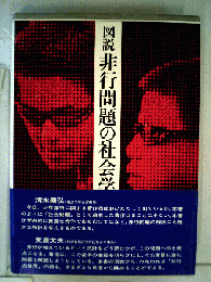 図説非行問題の社会学