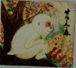 サルと人と森