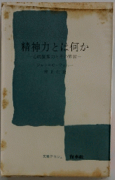 精神力とは何か-心的緊張力とその異常一