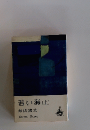 若い海(上)