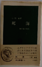 死海