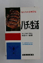 ハチの生活