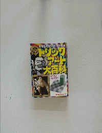 メリックアート大百科