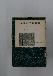 結球白菜の栽培