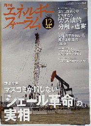 エネルギーフォーラム 2014年 12月号 [雑誌]