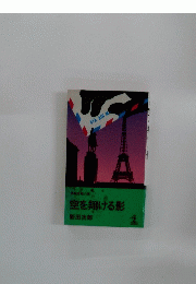 空を翔ける影