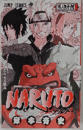 Naruto, Tome 66