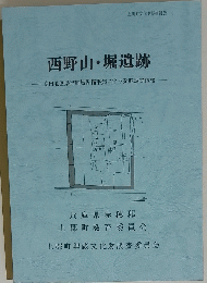 西野山・堀遺跡