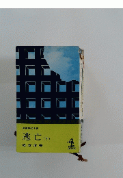 逃亡(下)