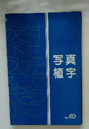 写真植字　No.40