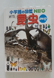 昆虫　