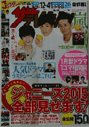 THE TELEVISION　２０１５年１月２８日ー１２月４日号