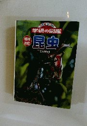 昆虫　