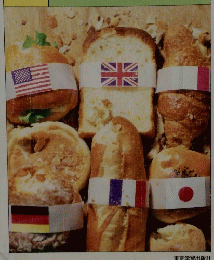 資料現代社会　1992年