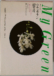 ウチョウラン12ヵ月 可憐な花を楽しむ