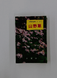 上越市の自然シリーズ 1 山野草