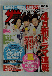 ザ・テレビジョン　2013年 No.7