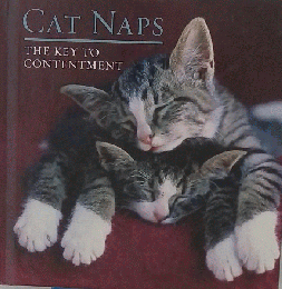 Cat Naps ２００３年１月号