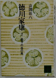徳川家康 2獅子座の巻