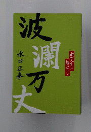 波瀾万丈